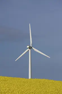 Generator: Wind Turbine generating power on a wind farm