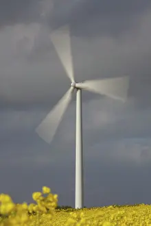 Generator: Wind Turbine generating power on a wind farm