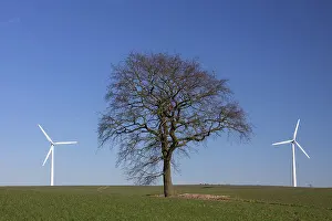 Electric: Wind Turbine generating power on a wind farm