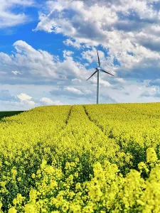 Economy: Wind turbine in a rural area, single wind turbine
