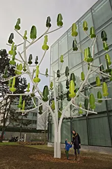 Geneva: Wind Turbine Tree The Wind Tree was launched in