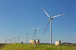 Energy: Wind turbines
