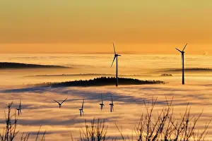 Economy: Wind turbines and forest rising from cloud cover