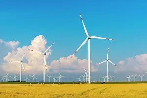 Economy: Wind turbines in the Reussenkoge marshes, agriculture