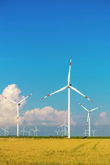 Economy: Wind turbines in the Reussenkoge marshes, agriculture