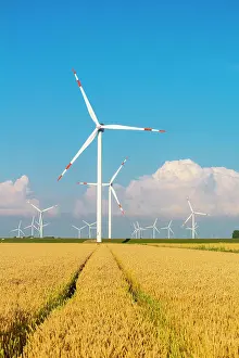 Economy: Wind turbines in the Reussenkoge marshes, agriculture