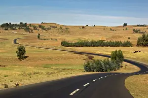 Curvy: A winding, black-top road cuts through the