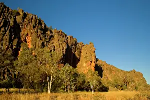 Rises: Windjana Gorge - the sheer, vertical wall of Windjana