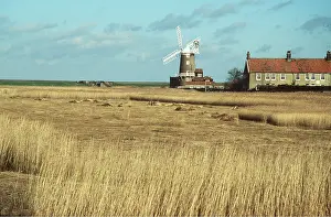 Windmill: Windmill
