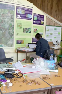 Exuviae: Windmill Farm Nature Reserve - Analysis of Species