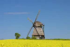 Windmill: Windmill Favre