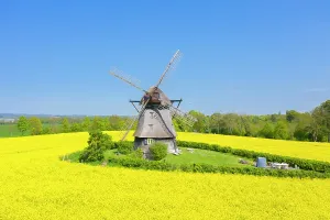 Windmill: Windmill Favre