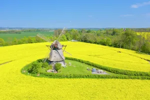 Windmill: Windmill Favre