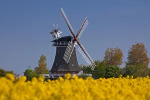 Wind: Windmill in Oldsum on the island of Fnhr, Northern