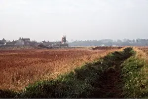 Bogs: Windmill & Reedbeds