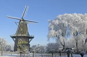 Rime: windmolen