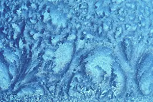 Clover: Window frost abstract forest trees in winter Kleefeld