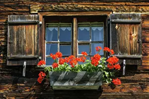 Facade: Window with geraniums on an old farmhouse in the