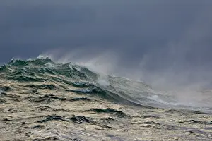 Windswept: Windswept Waves