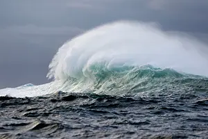 Windswept: Windswept Waves