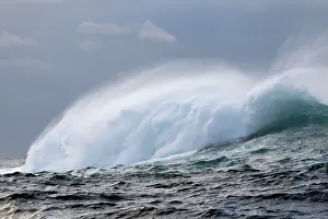 Windswept: Windswept Waves