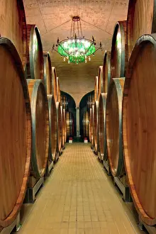 Room: Wine Barrel room, Castle Banfi, Tuscany