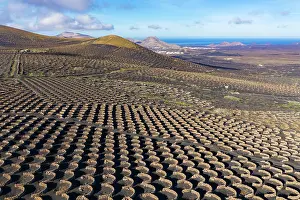Wine: Wine-growing area La Geria, near Yaiza, drone shot