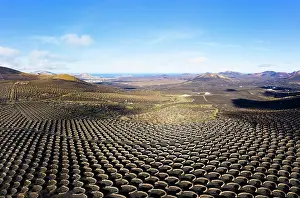 Wine: Wine-growing area La Geria, near Yaiza, drone shot