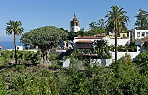 Formed: The wine-tasting area of Icod de los Vinos, with