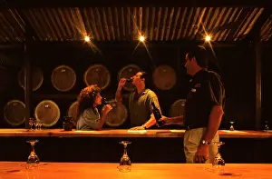 Brothers: Wine tasting at McGuigan Brothers.Hunter Valley