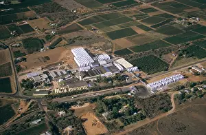 Vines: Winery