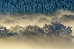 Storms: Winter atmosphere in the Jura mountains, Massif
