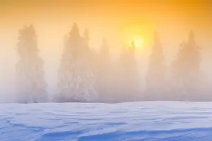 Sun Lights: Winter forest in fog, Switzerland, Europe