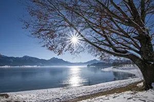 Idyllic: Winter idyll on Lake Forggensee in the Allgau