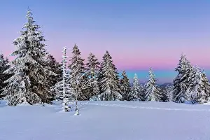 Lane: Winter landscape in the Black Forest, sunset, Black