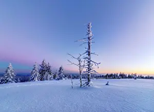 Lane: Winter landscape in the Black Forest, sunset, Black