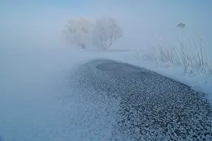 Snowflakes: Winter landscape of a floodplain covered with ice and snow a
