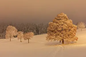 Leading: winter landscape - footpath leading though snowy plain with