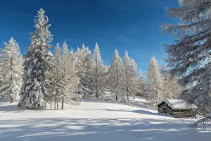 Innsbruck: Winter landscape, forest, hut for hay, owl meadows
