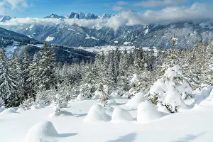 Stubai: Winter landscape, forest, behind Stubai Valley and