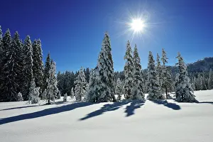 Chiemgau: Winter landscape on the Hemmersuppenalm, Reit im