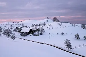 Hirzel: Winter landscape at Hirzel, drumlin landscape, trees