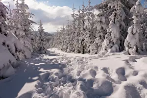Sauerland: Winter landscape on the Kahler Asten in Sauerland