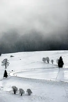Wind: Winter landscape near the wind beeches with fog