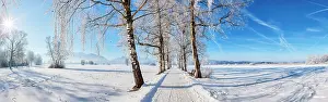 Chiemgau: Winter landscape, panorama, ice trees, snow, Chiemsee