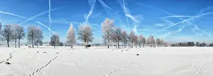 Chiemgau: Winter landscape, panorama, ice trees, snow, Chiemsee