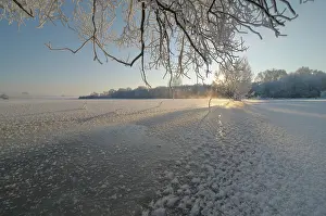 Snowflakes: winter landscape of a partly frozen and snowcovered floodpla
