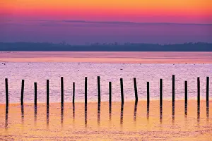 Dmmer: Winter landscape on the shore of Lake Dammer, sunset