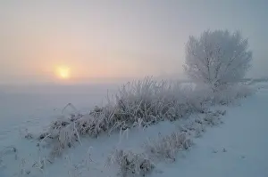 Floodplains: Winter landscape showing sunrise over snow covered floodplai