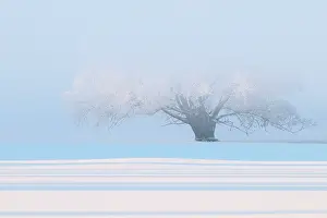 Hoar: Winter Landscape of a snow covered floodplain with hoar fros